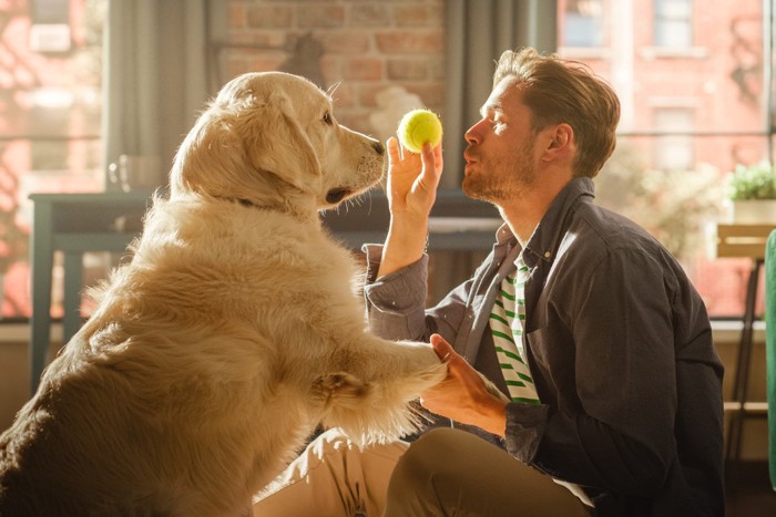 男性とボール遊びをする犬