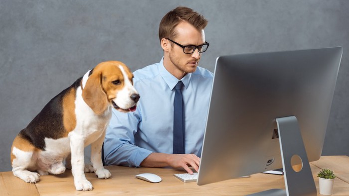 スーツを着て仕事をする男性の隣に座る犬
