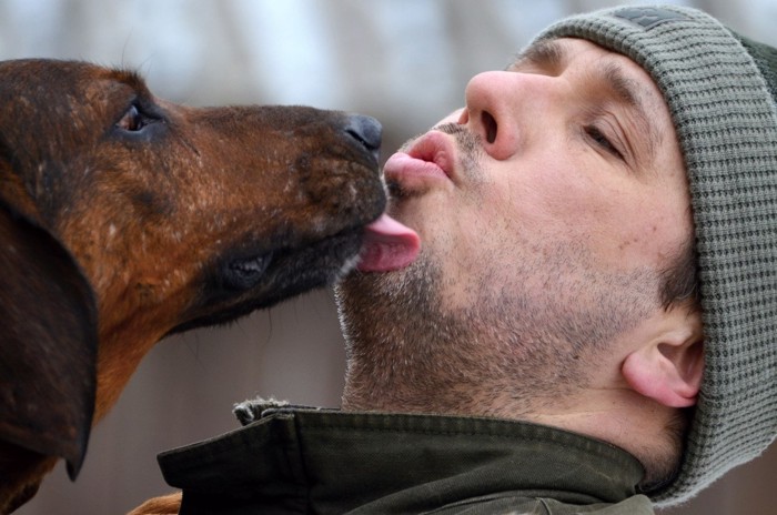男性の顔を舐める犬