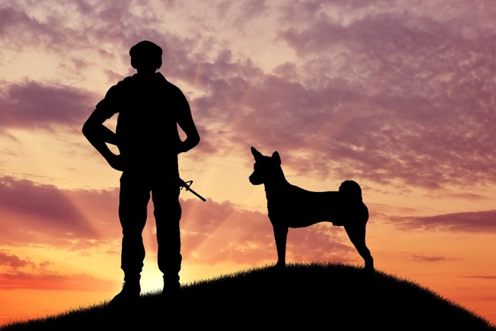 兵士と犬のシルエット