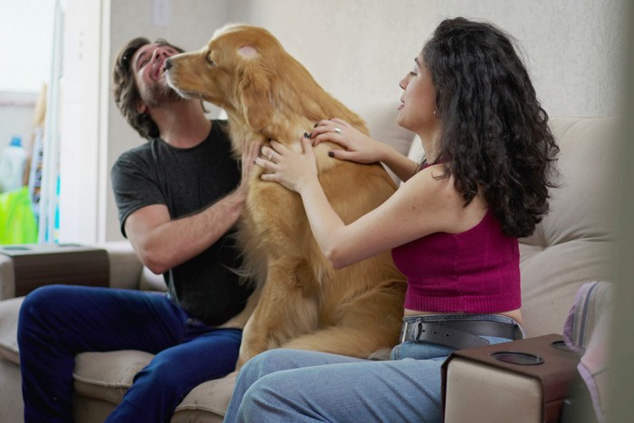 飼い主の男性の顔を舐める犬