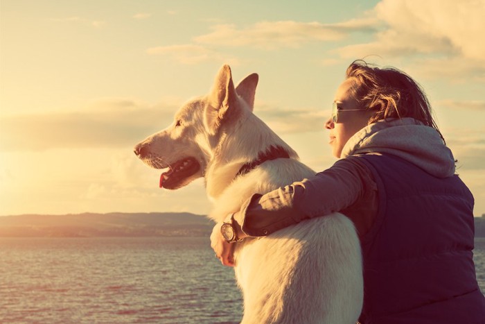 犬の肩を抱いて景色を眺める女性