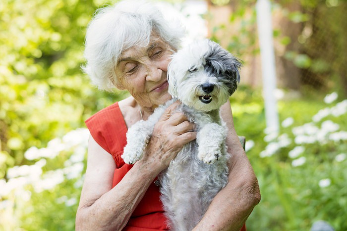 老婦人と犬