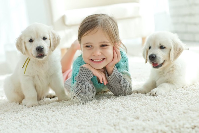 笑顔の女の子と2匹の子犬