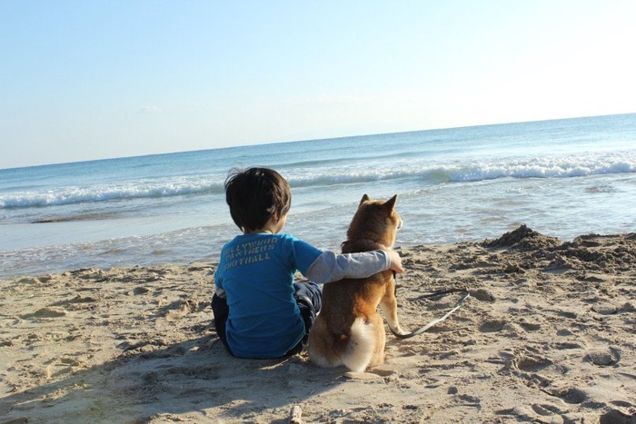 海を眺める男の子と柴犬の後ろ姿