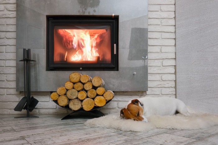 暖炉の前で寝る犬