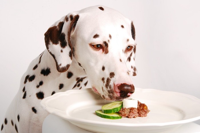 食事を覗き込む犬