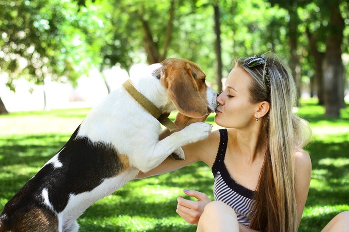 ビーグル犬とキスする女性