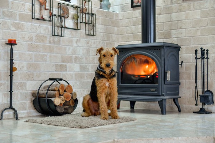 暖炉の前に座って温まる犬