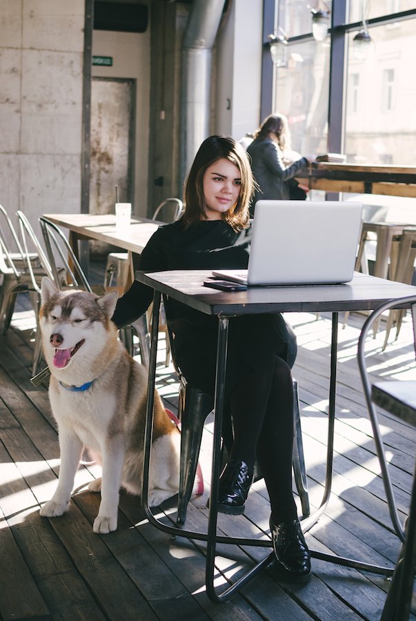 座るハスキー犬とパソコンをしている女性