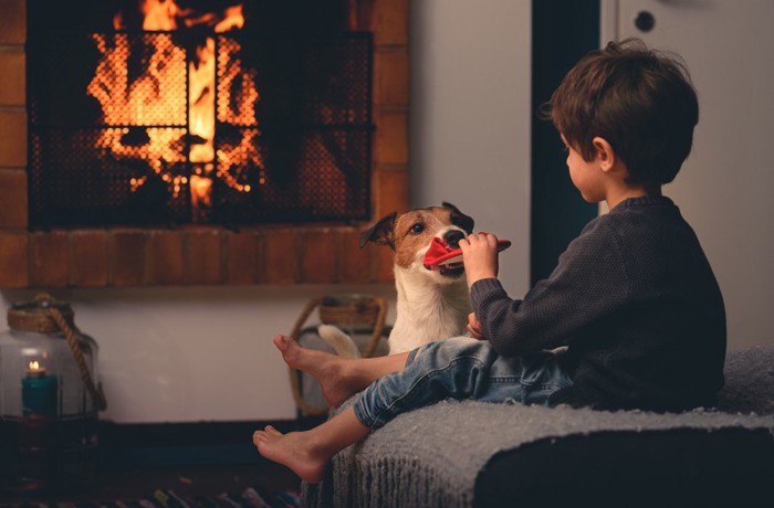 暖炉の前にいる犬と子ども