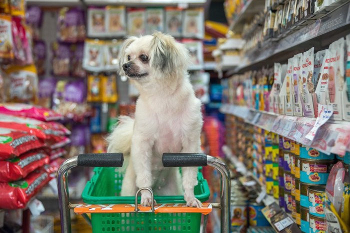 ペットショップでショッピングカートに入った小型犬