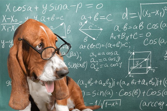 数式の書かれた黒板と犬