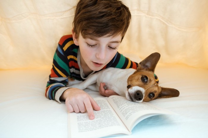 犬と一緒に本を読む男の子