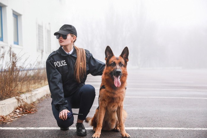 警察犬と女性