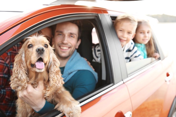 家族と一緒に車で出かける犬