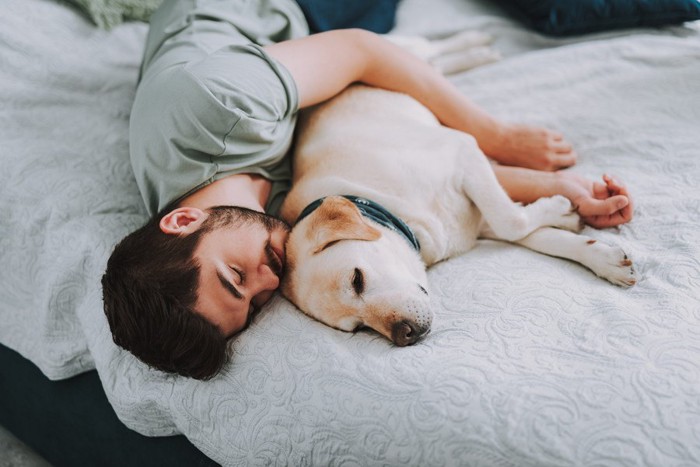 男性と一緒に眠る犬