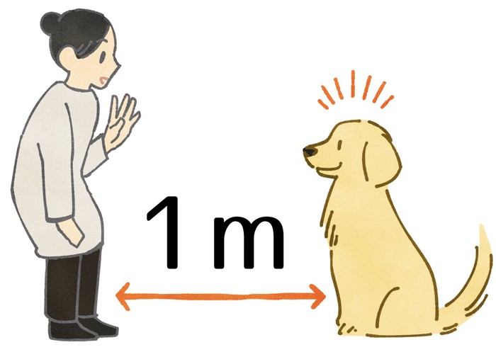 犬の視力を解説するイラスト