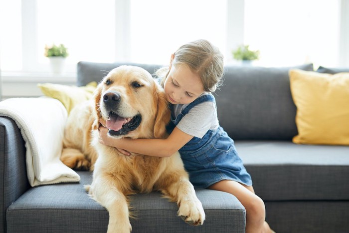 ソファーに座る犬に抱きつく女の子
