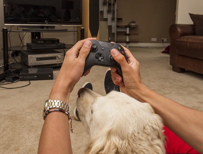TVゲームをする人と犬