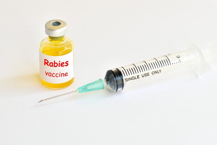 Rabies virus vaccine