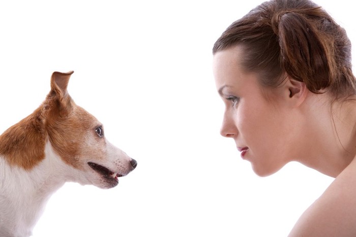 見つめ合う女性と犬