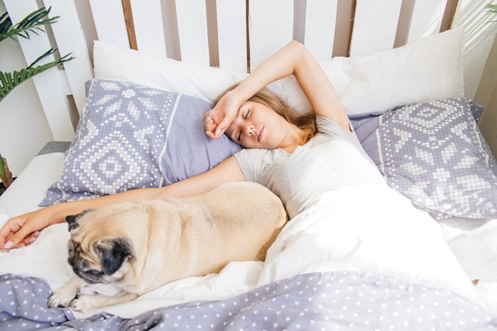 ベッドで寝る犬と女性
