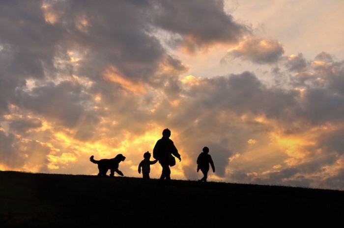 夕日の中で歩く家族と犬のシルエット