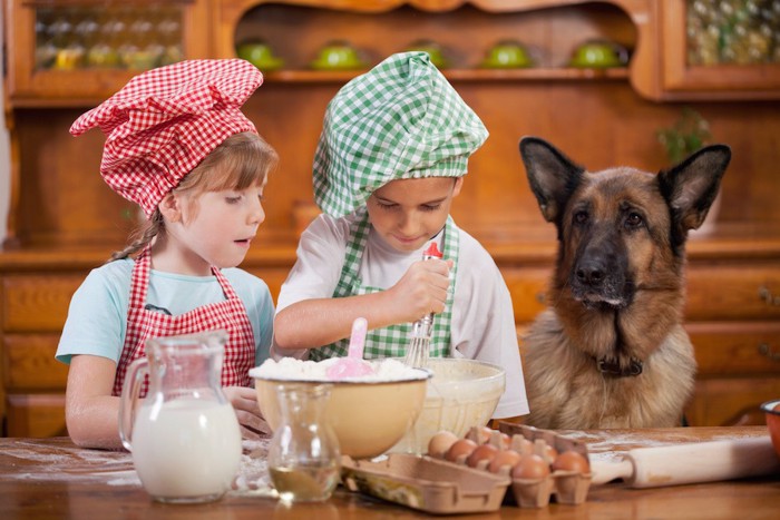 料理をする子供たちと犬