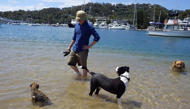 海で遊ぶ犬と飼い主