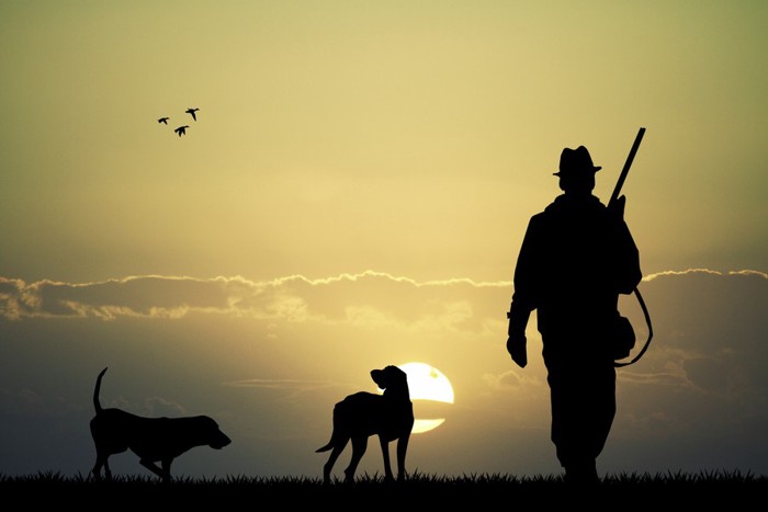 狩猟犬と人間