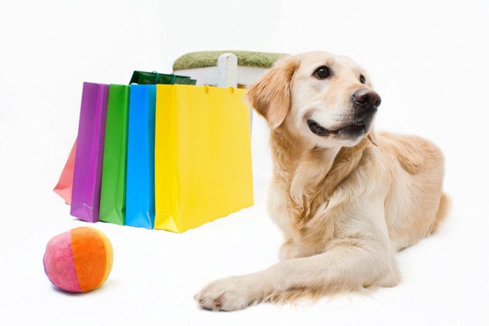 ショッピングバッグと犬