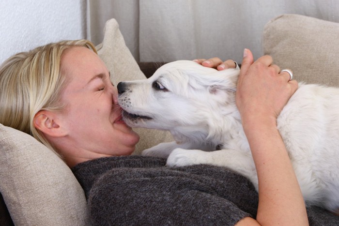 女性の顔を舐めている犬