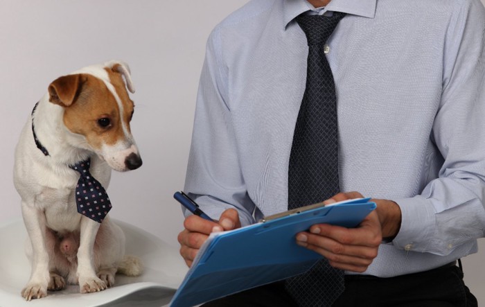 ネクタイを締めた男性と犬
