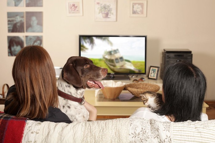 犬と一緒にテレビを見る女性2人