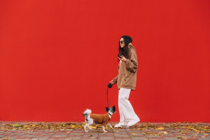 犬の散歩中にスマホを使用する女性