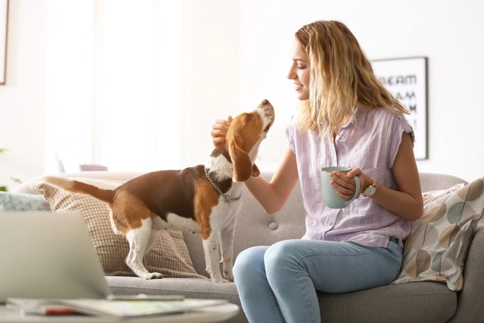 マグカップを持つ女性と犬