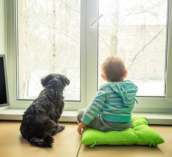 窓の外を見る犬と子供