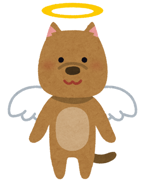 天使の犬
