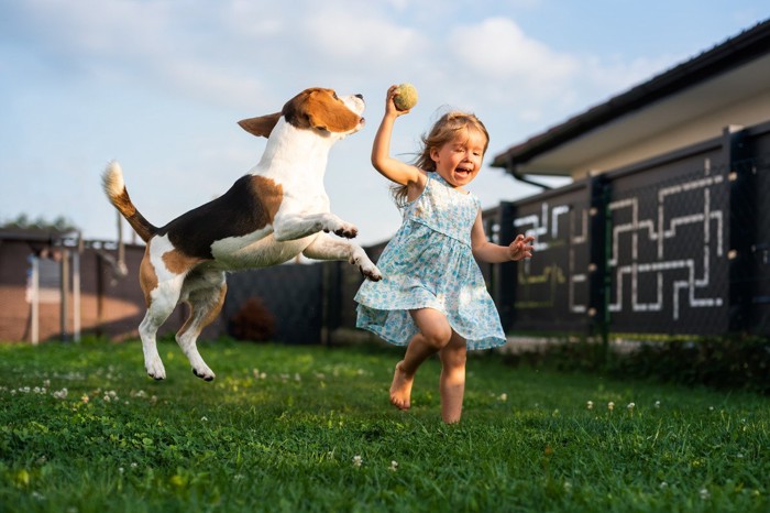 犬と遊ぶ子ども
