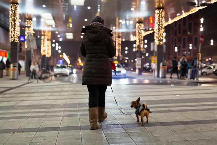 夜の街を散歩する犬と飼い主