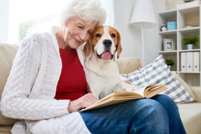 白髪の女性と一緒に本を読むビーグル犬