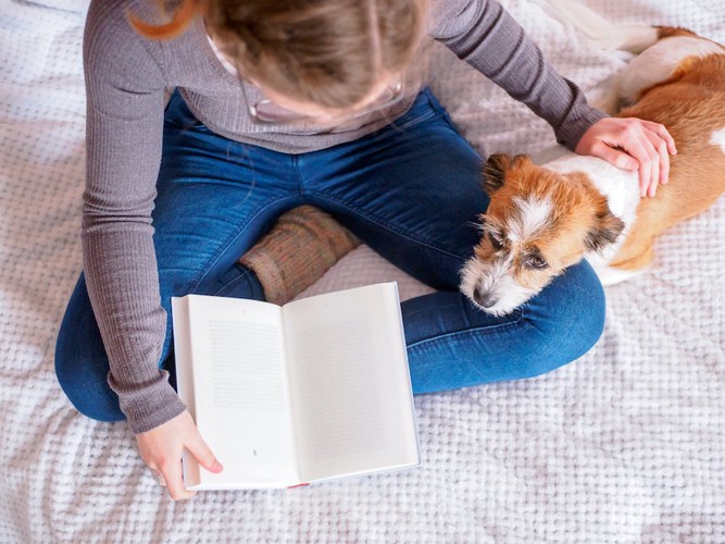 本を読む女性の足に顎を乗せる犬