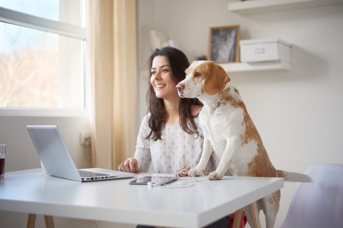 パソコンを覗く女性と犬