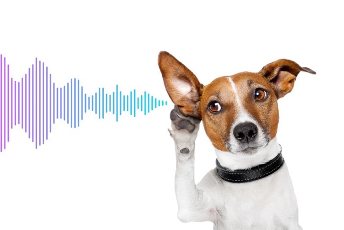 犬にしか聞こえない超音波