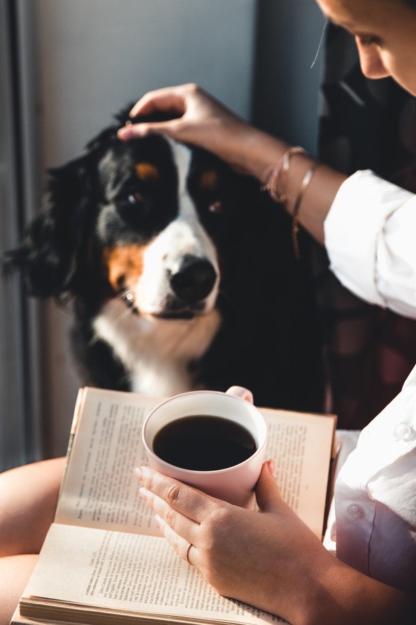 コーヒーカップを片手に読書をしながら犬を撫でる女性