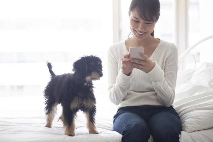 スマートフォンを見る女性と犬