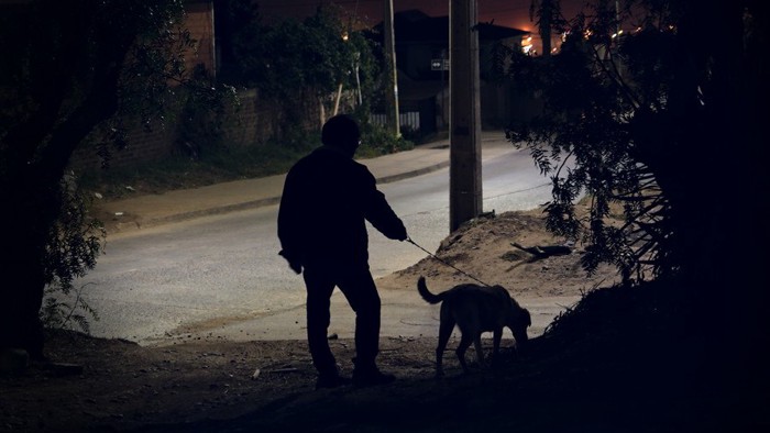 暗い道を散歩する犬と人