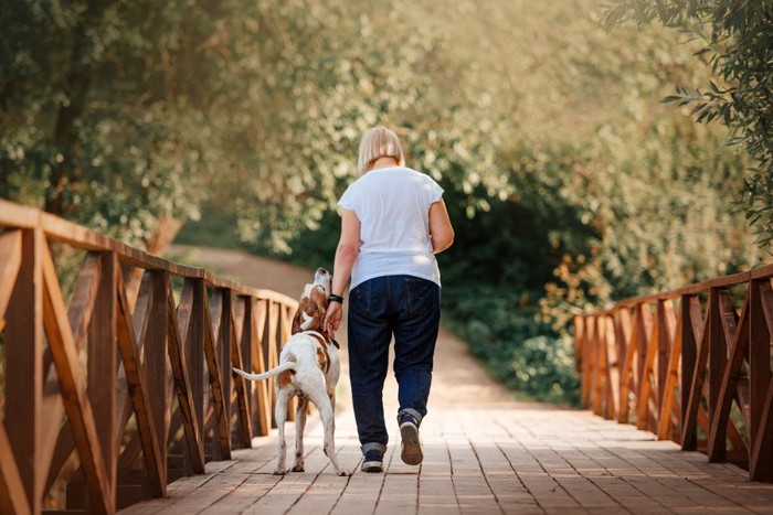 橋を歩いている犬と女性