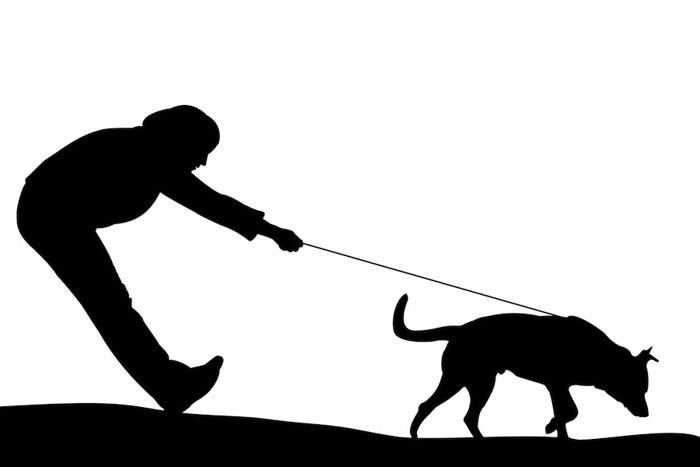 散歩中に犬に引っ張られる人のシルエット